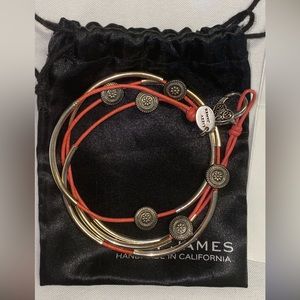 Lizzy James Handmade Leather Necklace w/silver tone accessories